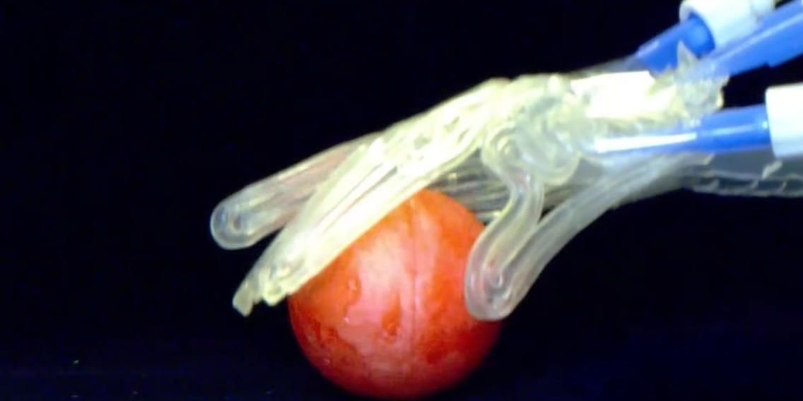 The Patent and Intellectual Property Landscape - visual representation