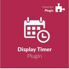 Viewneo Display Timer Plugin