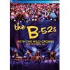 With The Wild Crowd! Live In Athens,Ga (DVD) (2016, DVD)