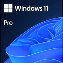Microsoft Windows 11 Pro (Senza limiti)