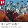 Praesens SRF Verrueckten, Die (2009, DVD)