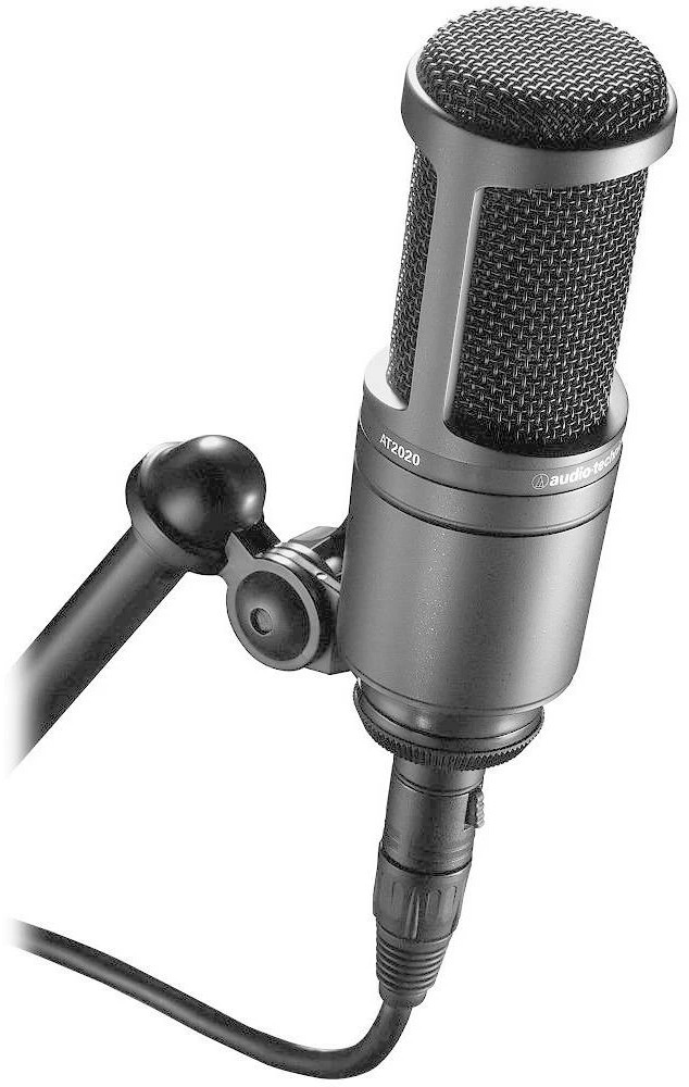 Audio-Technica At2020 - buy at Digitec