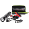 Swaytronic Starter Light 800A (800 A, 15000 mAh)