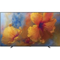 Samsung QE65Q9F (65", LCD, VA, 4K, 2017)