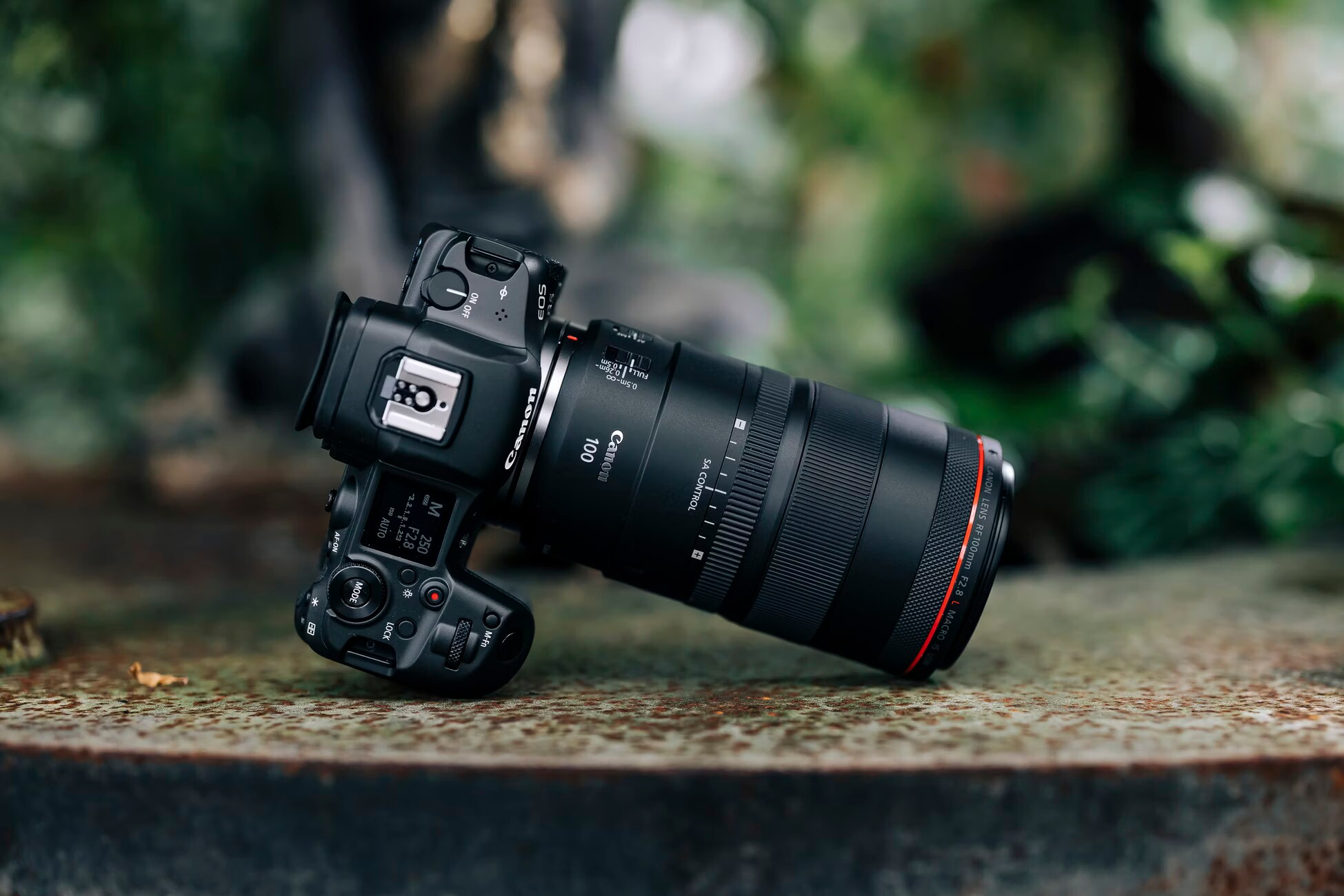 Canon RF 100mm f/2.8L Macro IS USM - kaufen bei Digitec