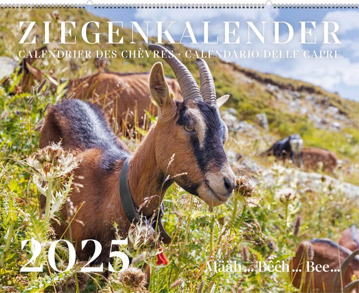 Goat calendar / Calendrier des chèvres / Calendario delle capre 2025