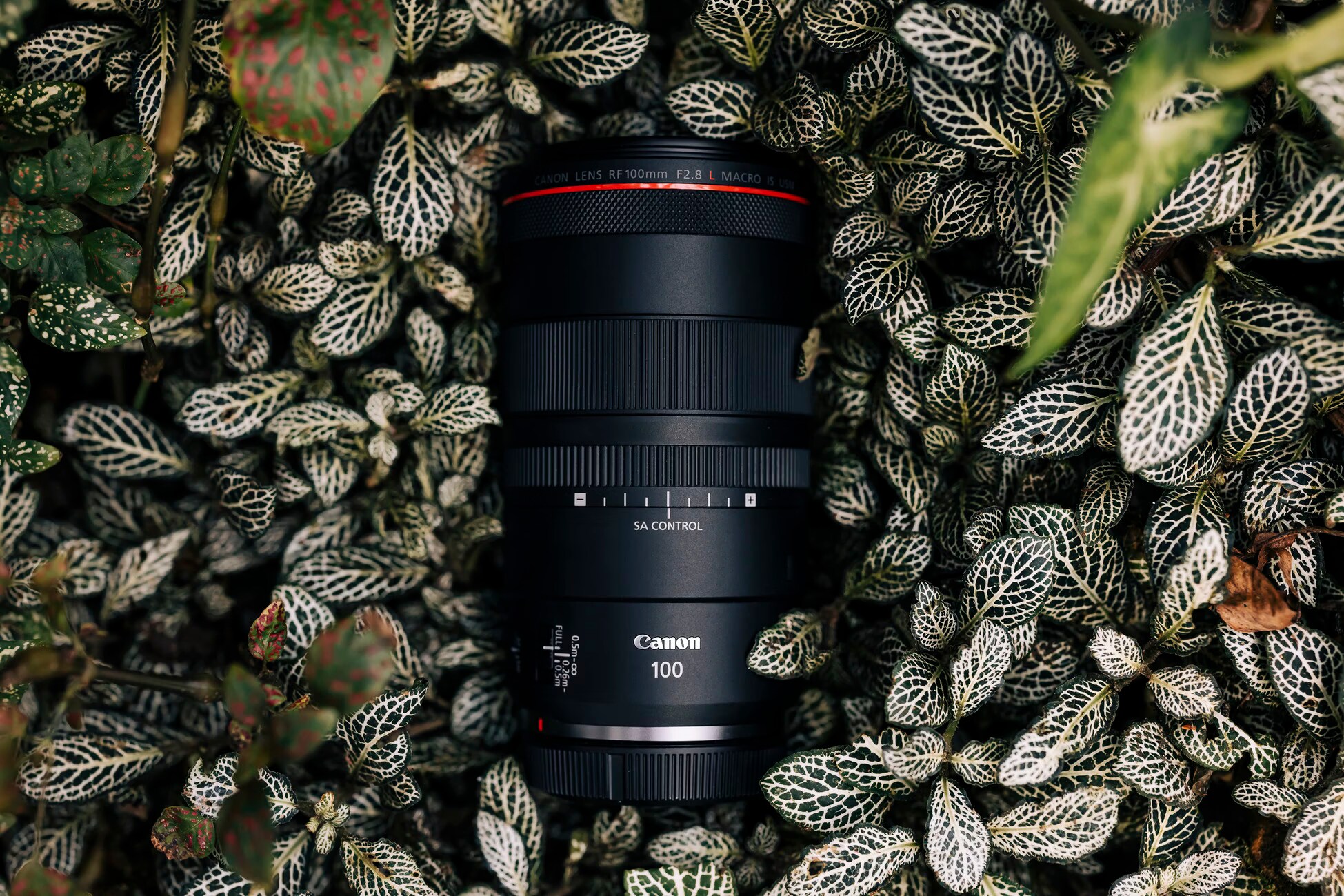【はな】Canon RF 100mm F2.8 MACRO IS USM Canon RF 100mm f/2.8L Macro IS USM - kaufen bei Digitec