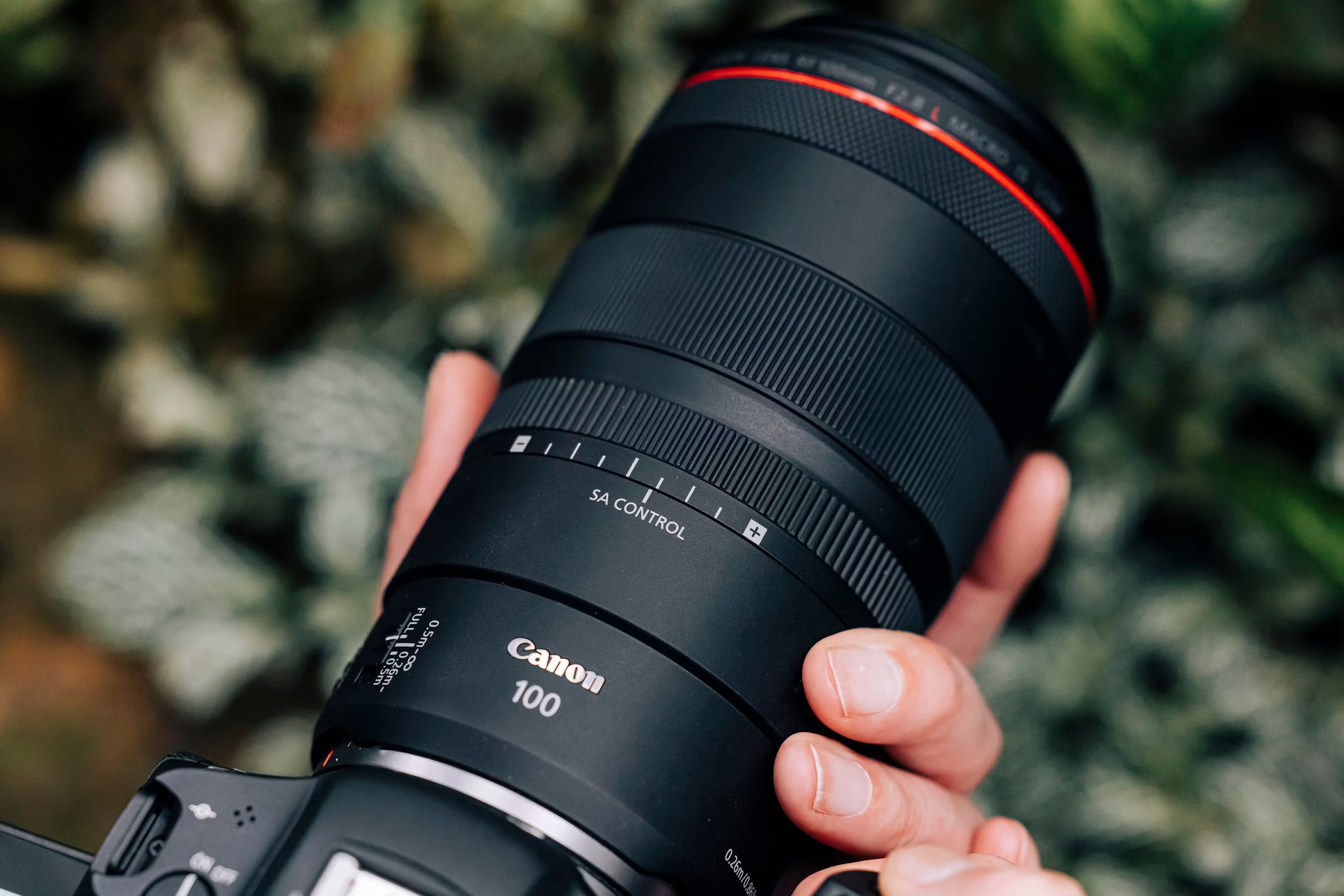 Canon RF 100mm f/2.8L Macro IS USM - kaufen bei Digitec