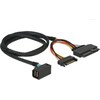 Delock SFF-8643 to U.2 port cable (75 cm)