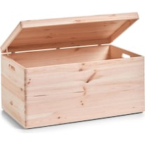 Zeller Present All-purpose box (60 x 40 x 24 cm, 57.50 l)