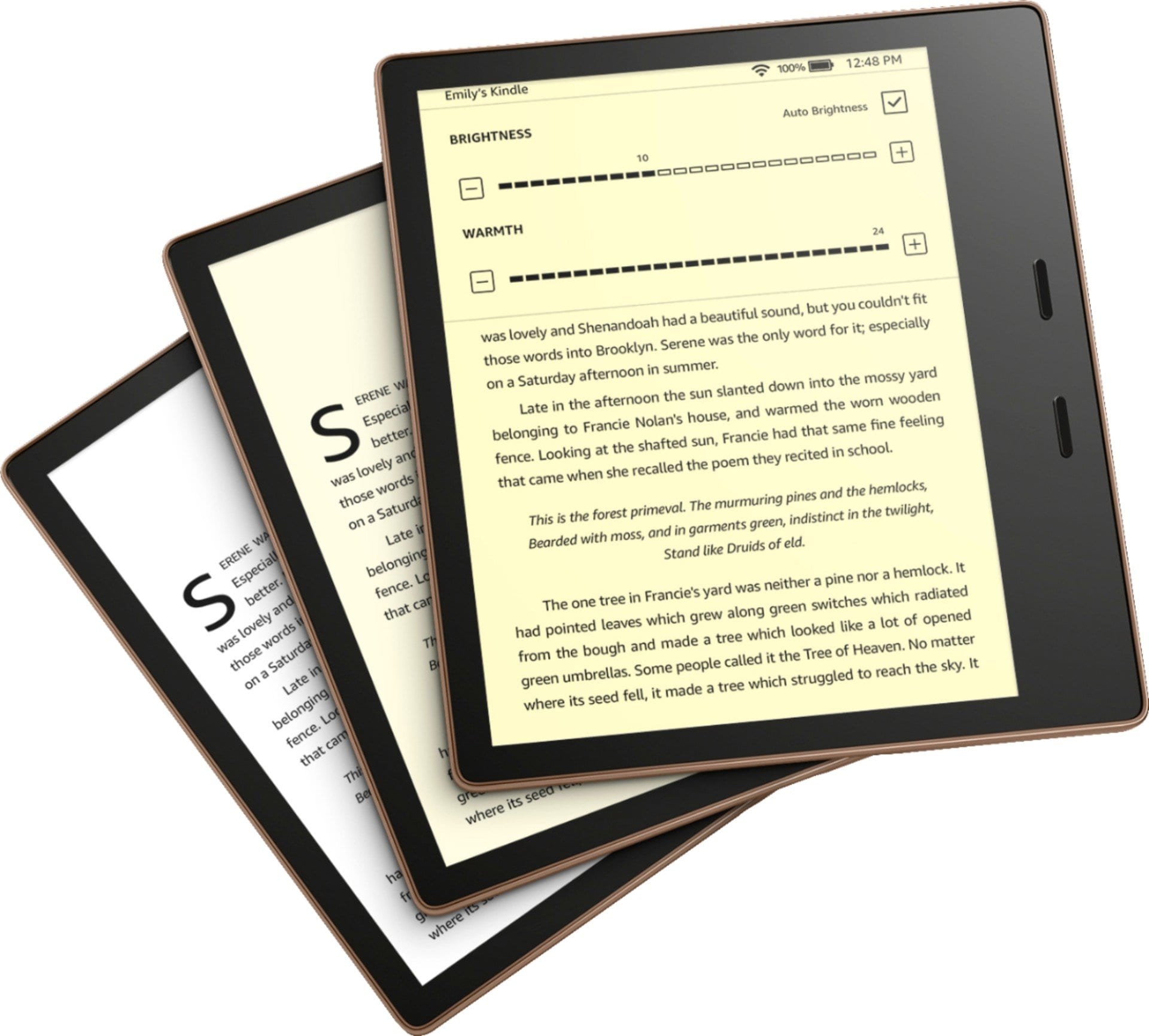 Amazon Kindle Oasis - buy at Digitec