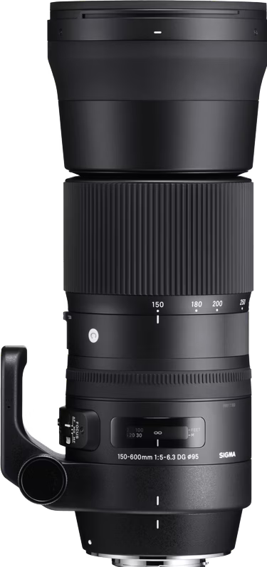 49f75603-5d57-44d5-946a-