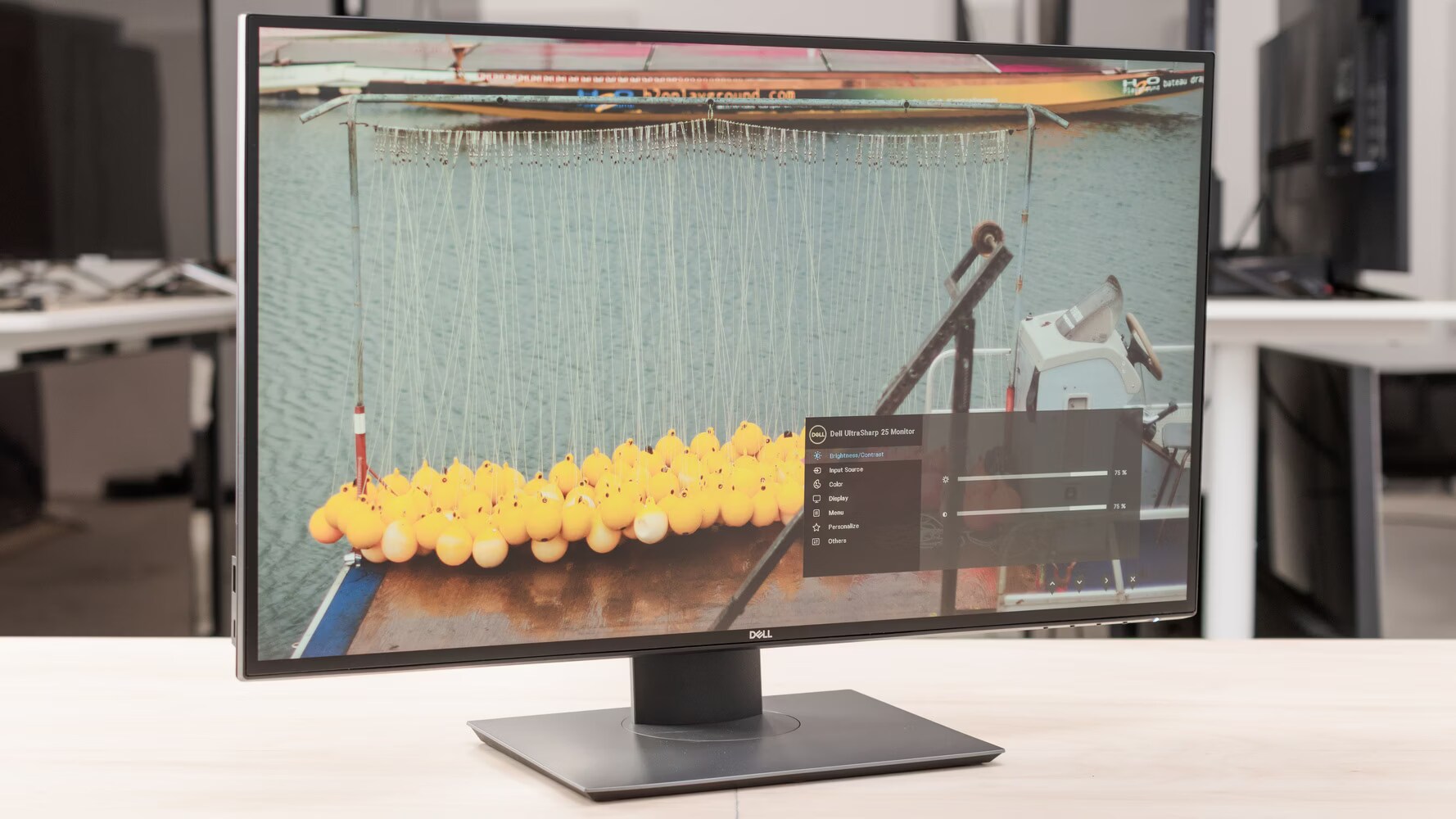 【即購入OK】DELL U2520D QHD HDMI/DP/TyprC　IPS Amazon.com: Dell UltraSharp U2520D 25 Inch QHD (2560 x 1440