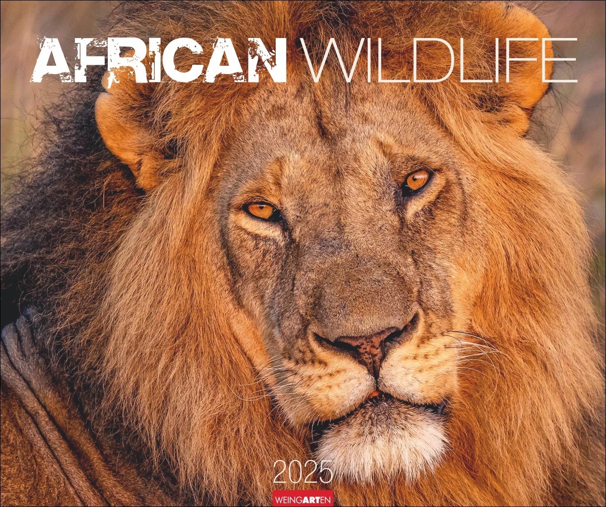 African Wildlife Kalender 2025 (55 x 46 cm, Deutsch) Digitec
