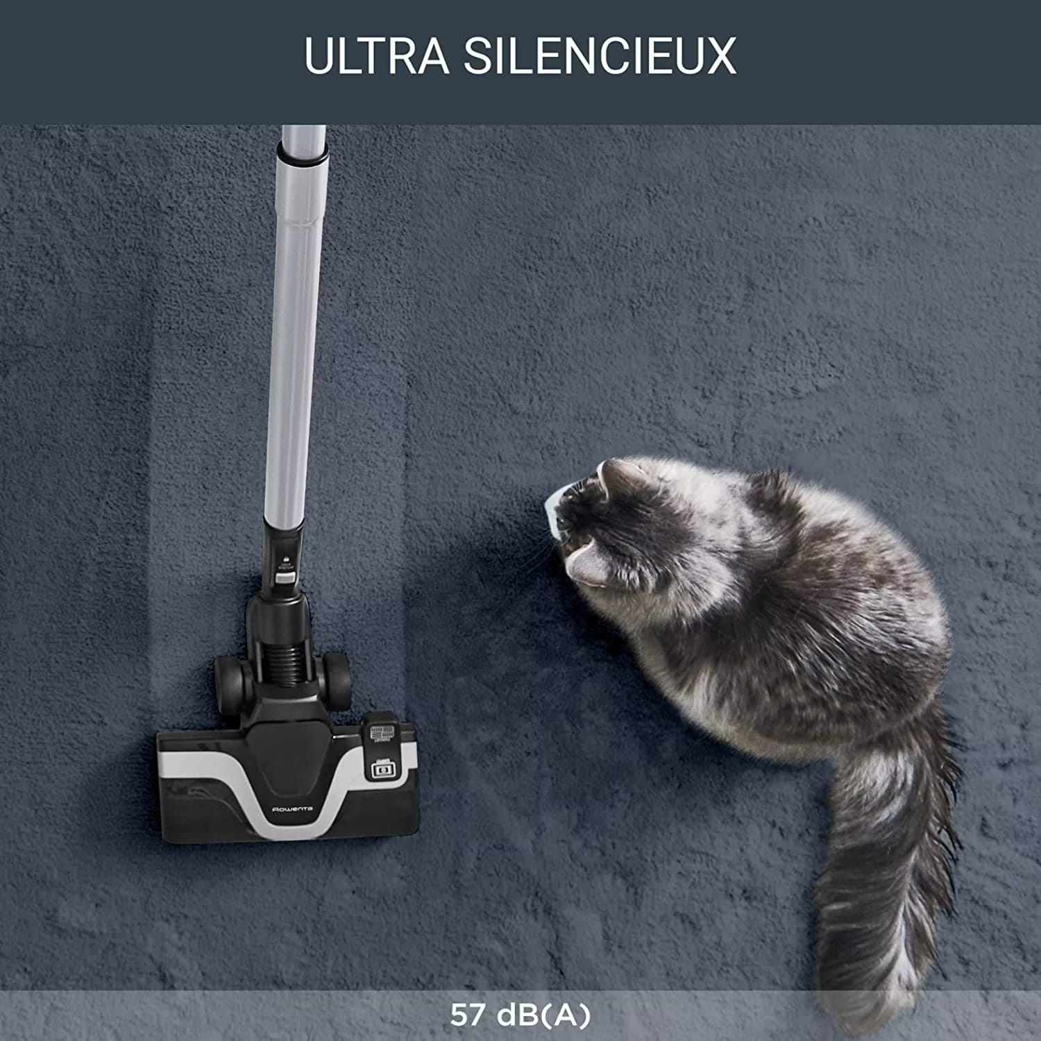 The best Rowenta Vacuum cleaners for 2025 on digitec