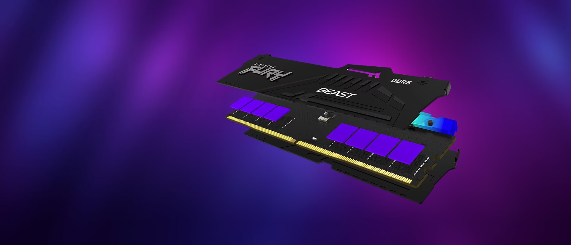 Kingston FURY Beast - kaufen bei Digitec - Digitec