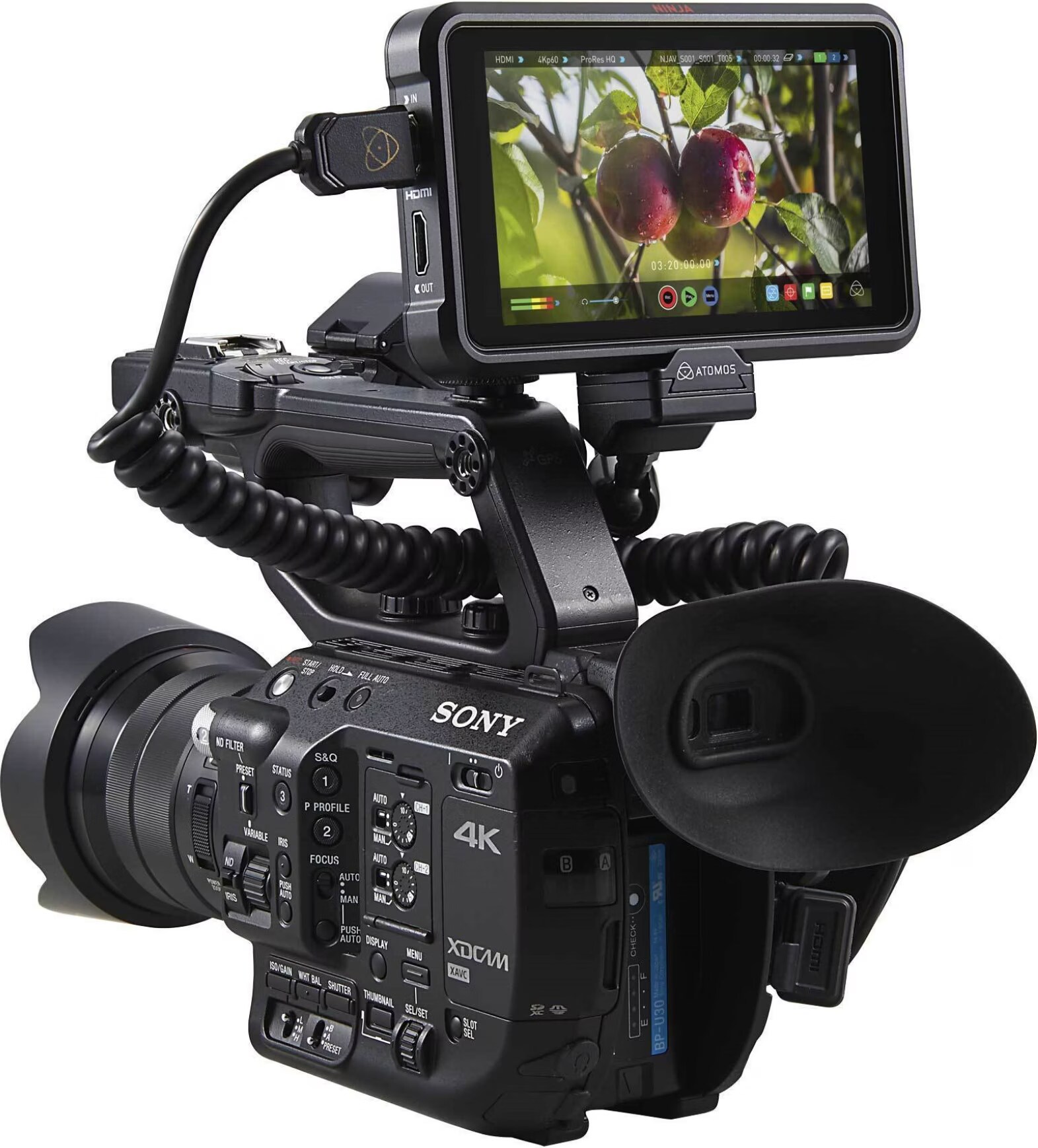 Atomos Ninja V - buy at Digitec