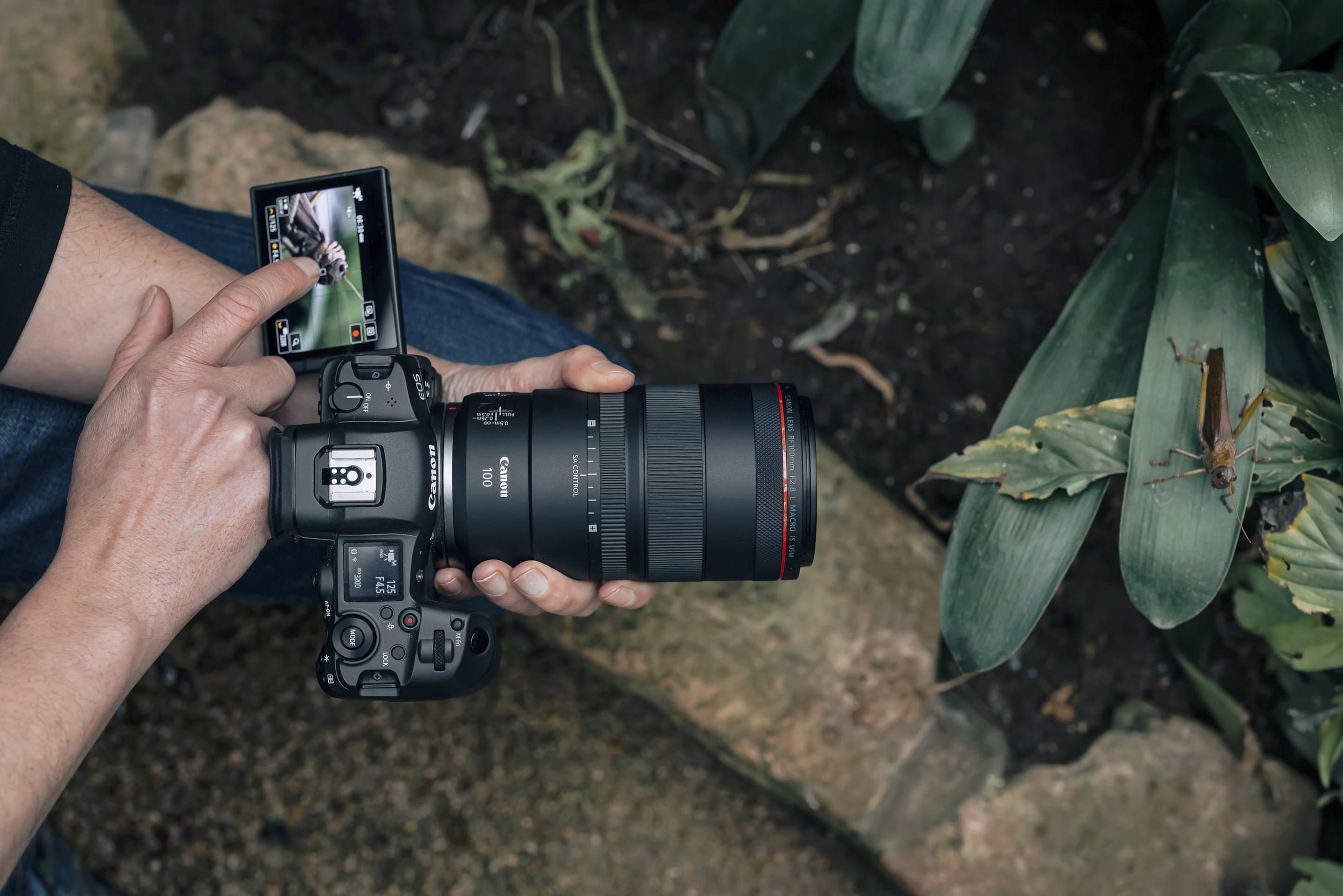 Canon RF 100mm f/2.8L Macro IS USM - kaufen bei Digitec - Digitec