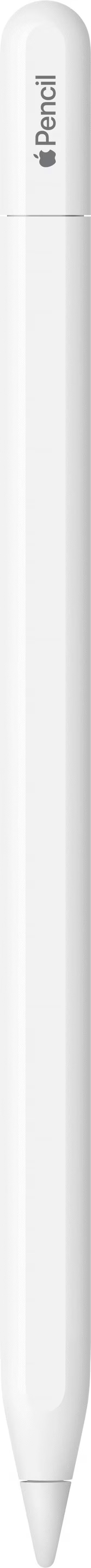 Apple Pencil (USB-C) - kaufen bei Digitec