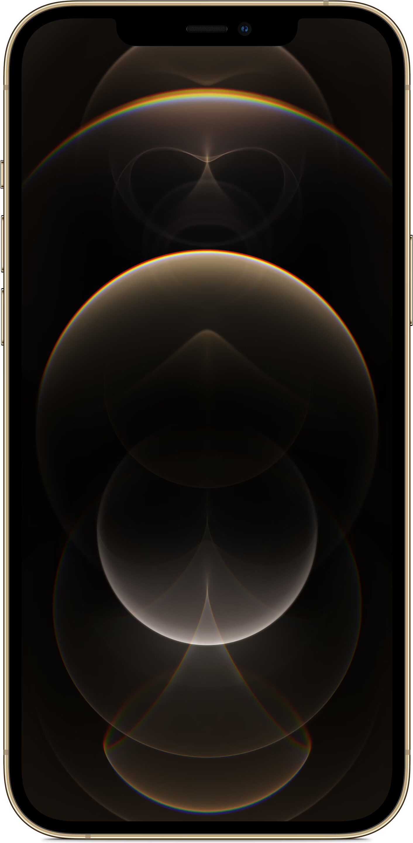 Apple iPhone 12 Pro Max - buy at Digitec