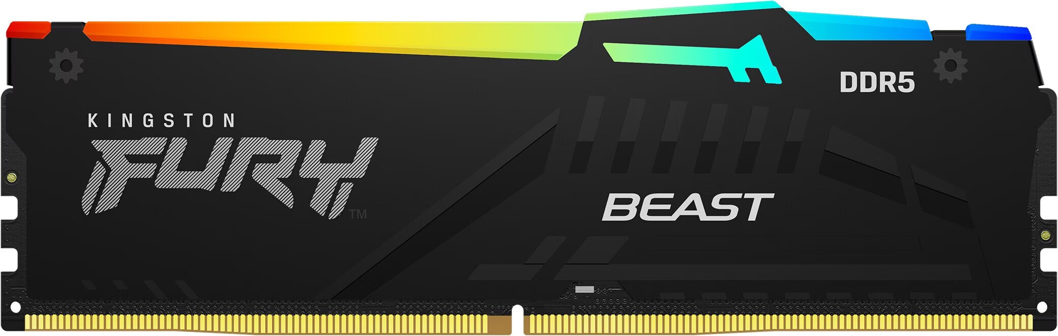 Kingston FURY Beast RGB (2 x 32GB, 5600 MHz, DDR5-RAM, DIMM) - Digitec