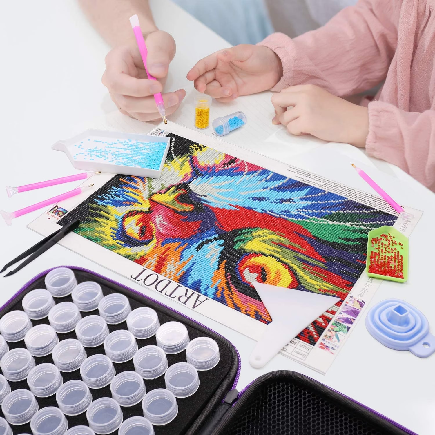 MEYAGOT 60-Fach Saatgut Aufbewahrungsbox - Organizer Für Samen Mit Etiketten & Trichter