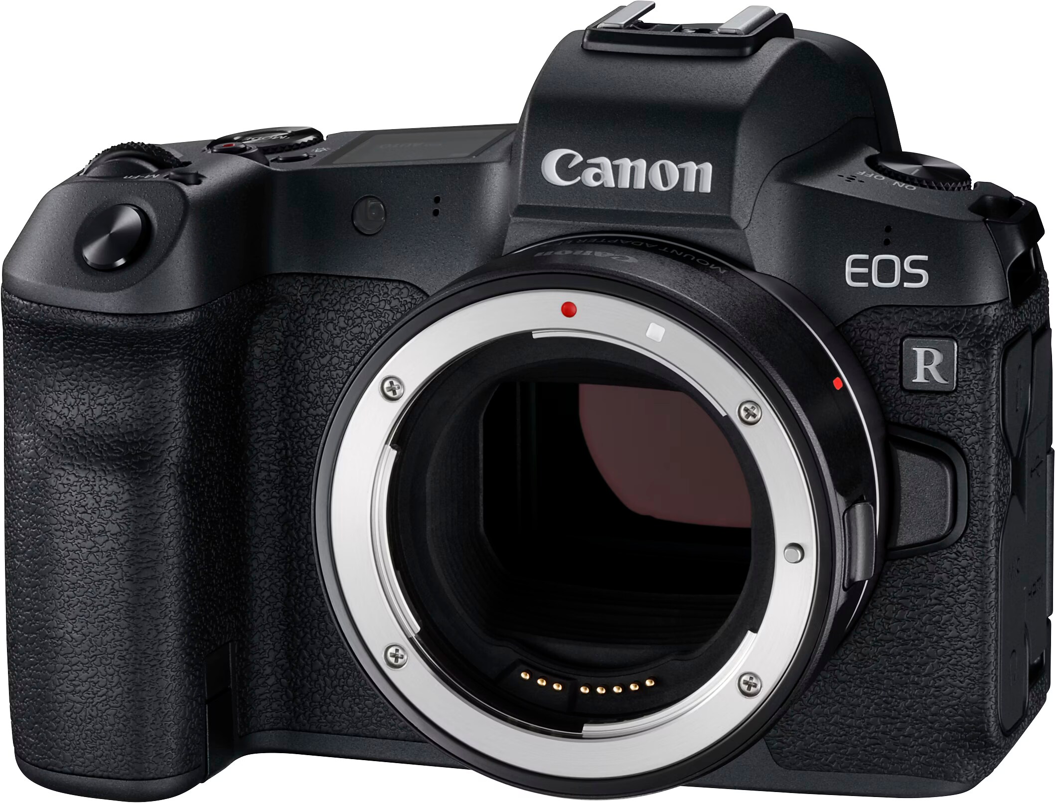 ★シャッターOK★ キャノン　Canon EOS-1N ボディ 初めてのフィルム一眼に最適】Canon EOS-1Nを解説【フラグシップ