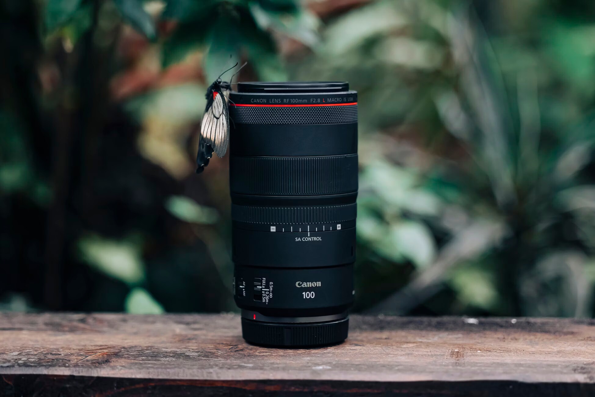 Canon RF 100mm f/2.8L Macro IS USM - kaufen bei Digitec