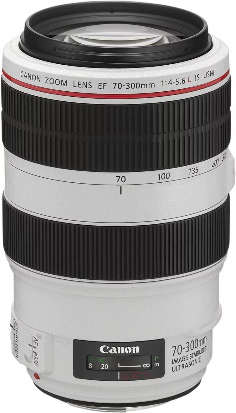 Canon EF 70-300mm f/4-5.6L IS USM - kaufen bei Digitec