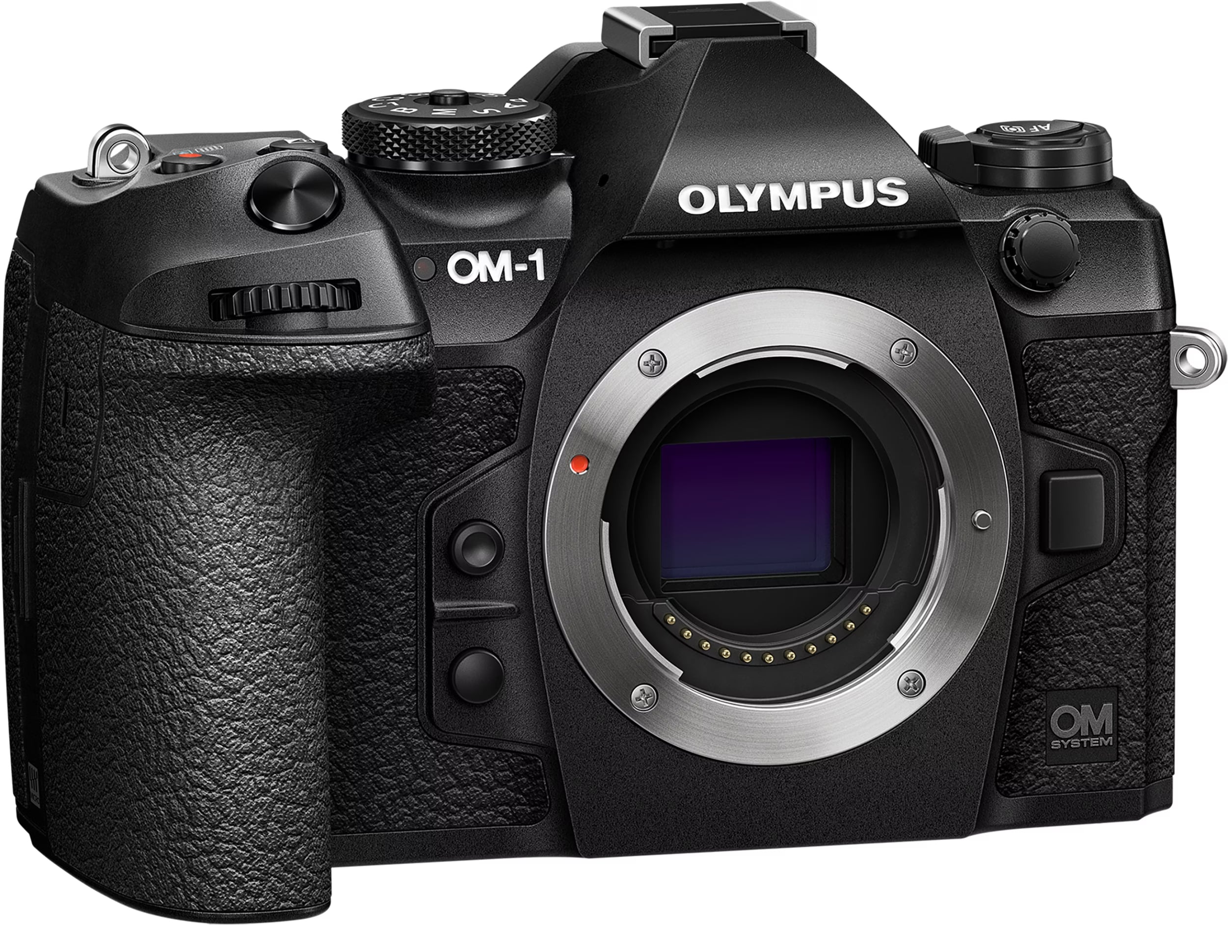 A new Olympus OM-1 for the 50th anniversary - Digitec