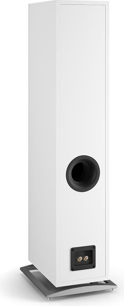 Dali Oberon 7 (1 Paar) - kaufen bei Digitec